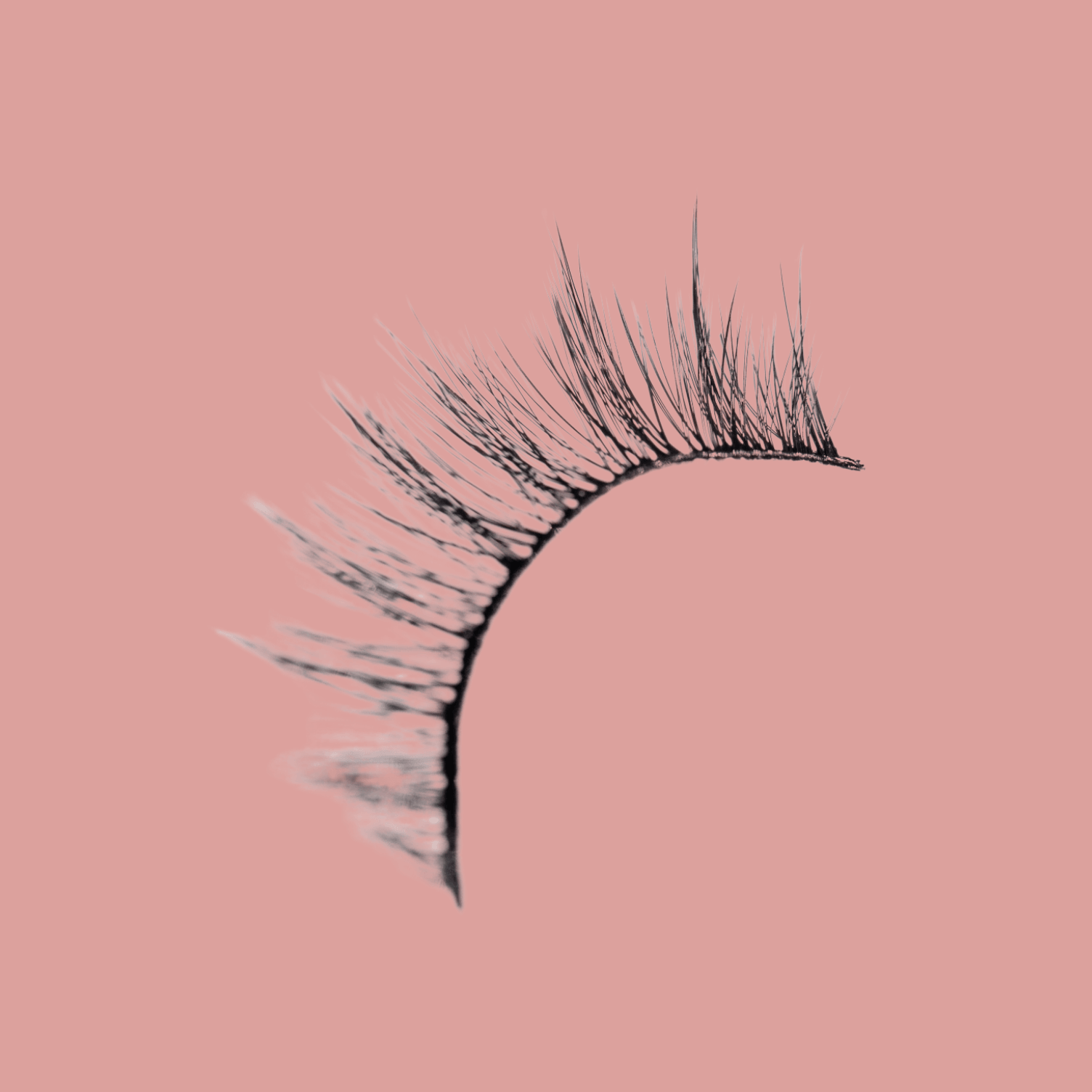 Luxe 3D Peony Lashes – Soft, Wispy & Reusable False Eyelashes.